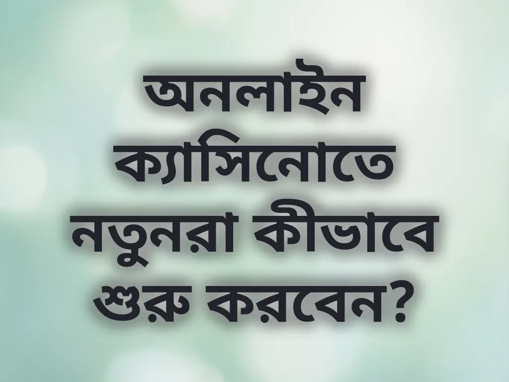 নতুনদের গাইড